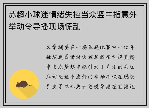 苏超小球迷情绪失控当众竖中指意外举动令导播现场慌乱 苏超小球迷情绪失控当众竖中指意外举动令导播现场慌乱